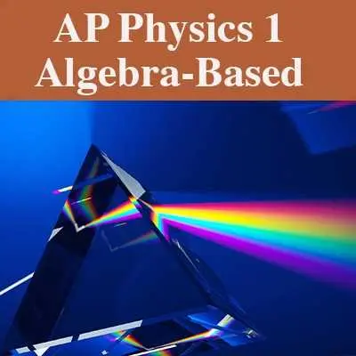 AP Physics 1  lessons with Dr. Donnelly